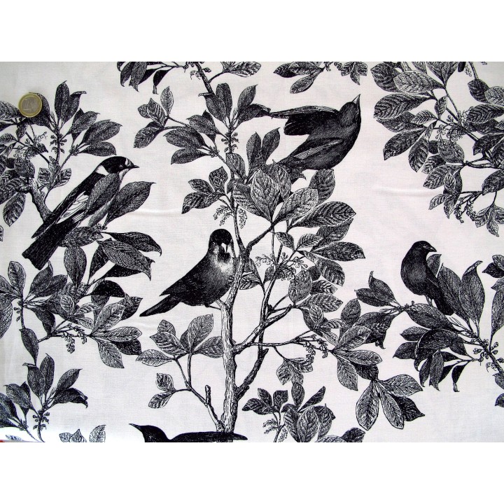 Quiltstoff Vögel schwarz weiß Classic Caskata