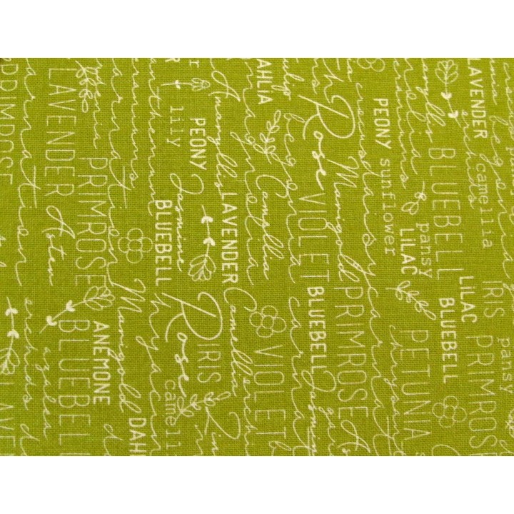 Quiltstoff Text Schrift grün Spring Chicken Patchworkstoff