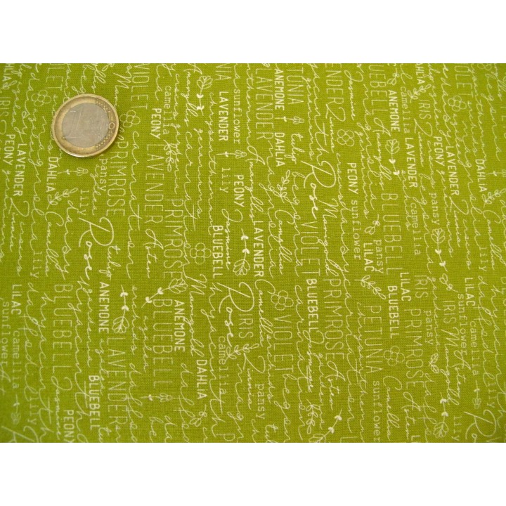 Quiltstoff Text Schrift grün Spring Chicken Patchworkstoff