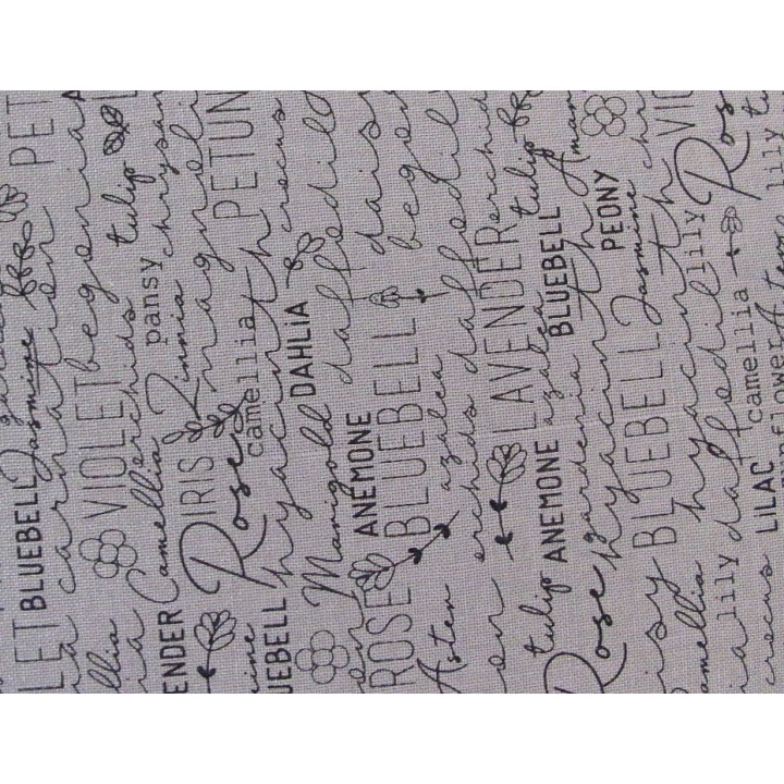 Patchworkstoff Schrift / Text Spring Chicken Quiltstoff