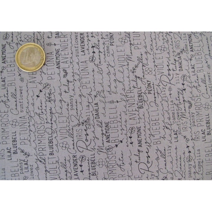 Patchworkstoff Schrift / Text Spring Chicken Quiltstoff