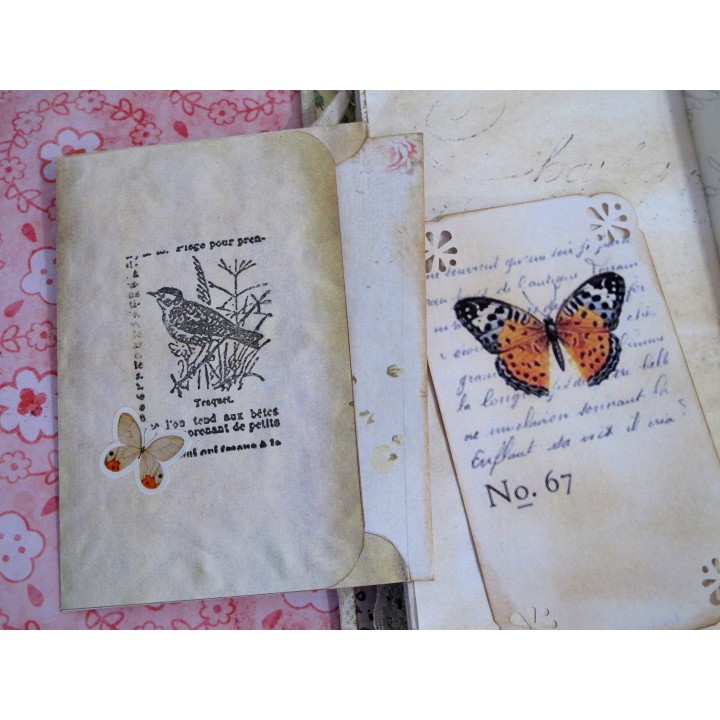 Tall Skinny Journal Schmetterling Tagebuch