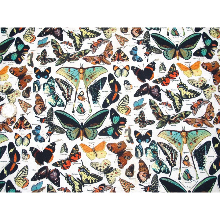 Tim Holtz Eclectic Baumwolle Stoff Schmetterlinge Patchworkstoff Motten Falter Junk Journal
