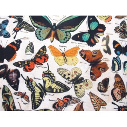 Tim Holtz Eclectic Baumwolle Stoff Schmetterlinge Patchworkstoff Motten Falter Junk Journal
