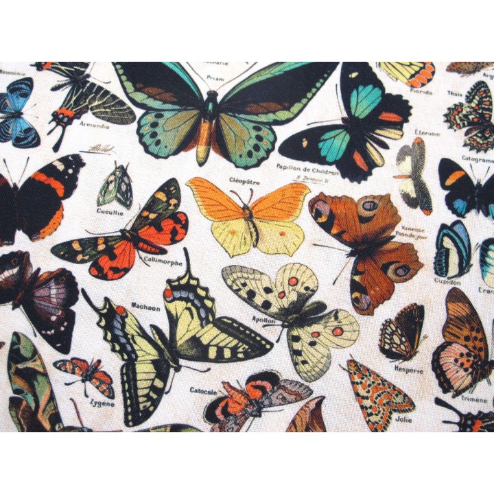 Tim Holtz Eclectic Baumwolle Stoff Schmetterlinge Patchworkstoff Motten Falter Junk Journal