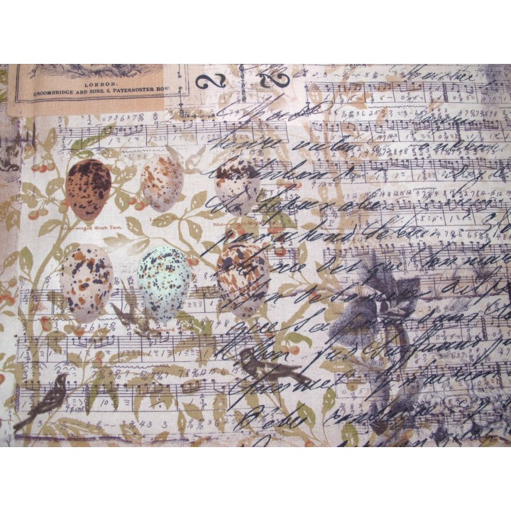 Patchwork Fat Quarter Tim Holtz Blumen Schrift Text Vogeleier Ostern Nester Baumwolle