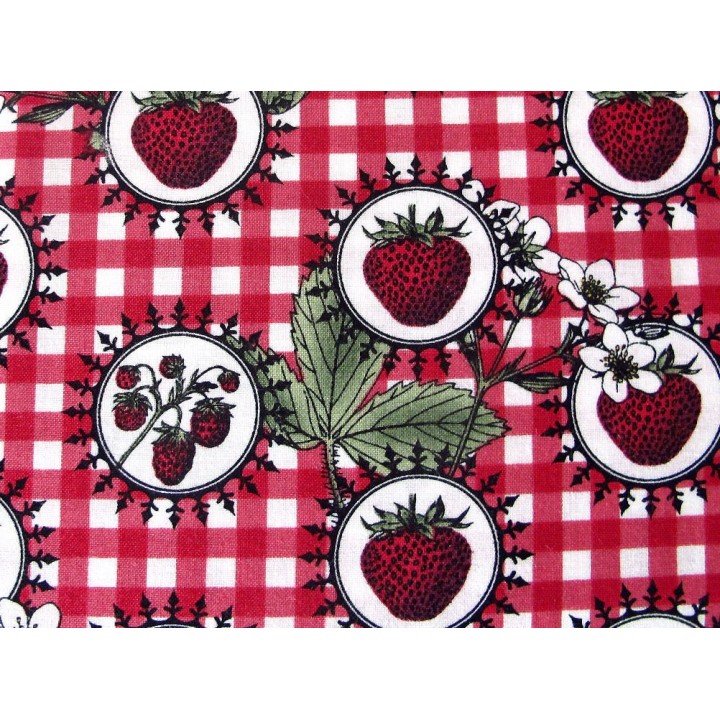 Patchworkstoff Erdbeeren Botanica rot grün